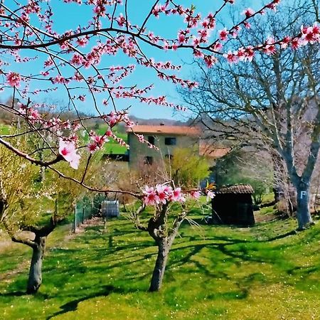 B&B Luna E Stelle Premilcuore Εξωτερικό φωτογραφία
