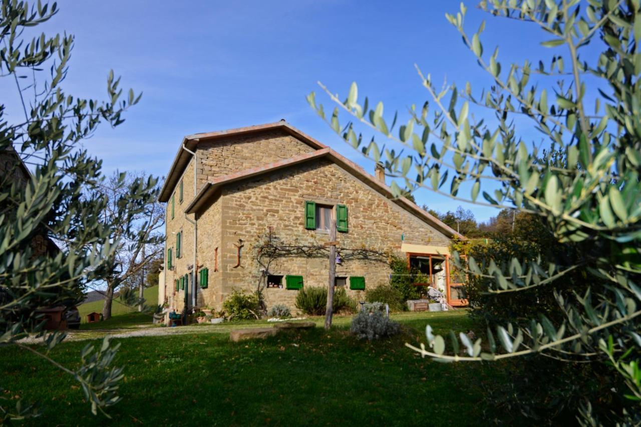 B&B Luna E Stelle Premilcuore Εξωτερικό φωτογραφία
