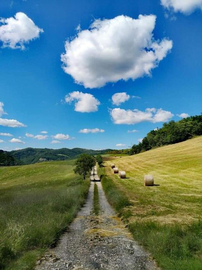 B&B Luna E Stelle Premilcuore Εξωτερικό φωτογραφία