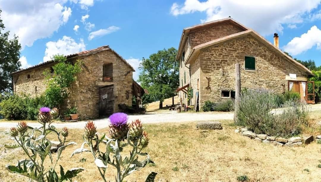 B&B Luna E Stelle Premilcuore Εξωτερικό φωτογραφία