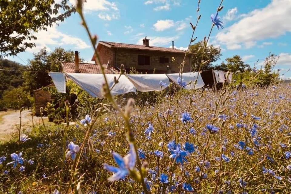B&B Luna E Stelle Premilcuore Εξωτερικό φωτογραφία