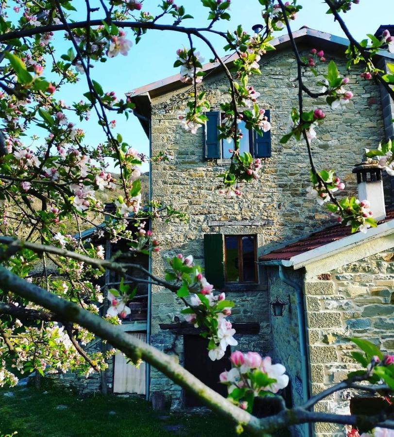 B&B Luna E Stelle Premilcuore Εξωτερικό φωτογραφία